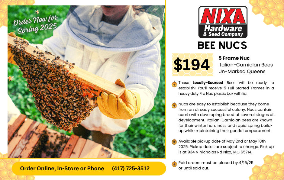 Bee Nucs 2025 Order Info showing bees on hive frame