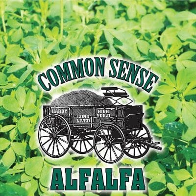 Common Sense Alfalfa Seed -
