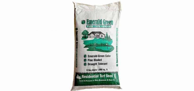 Emerald Green Turf Type Tall Fescue Lawn Grass Seed Nixa Hardware