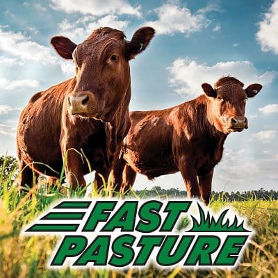Fast Pasture Seed Mix -