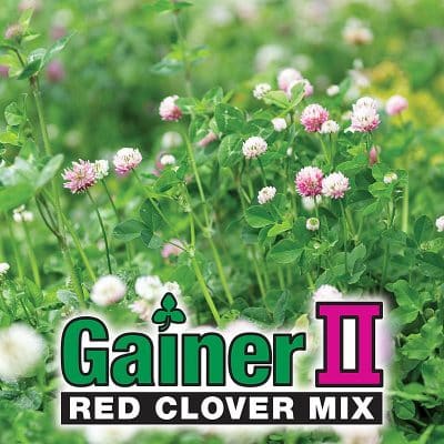 Gainer II Mix- Red Clover Seed -