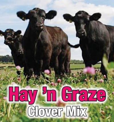 Hay ‘n Graze Clover Mix (70% Red Clover - 30% Haygrazer Alfalfa) -