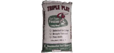 Triple Play Turf-Type Tall Fescue Lawn Grass Seed -