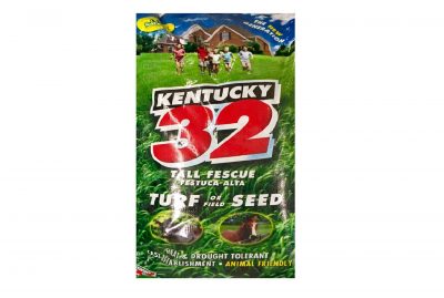 Ky-32 Tall Lawn Fescue Lawn Grass Seed -
