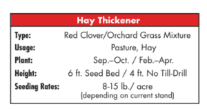Hay Thickener Mix (Red Clover + Orchard) - Field Grass Seed