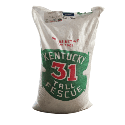 Endophyte-Free KY-31 Tall Fescue Seed -
