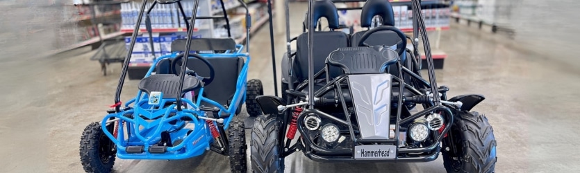 Go Kart For Sale at our Nixa Hardware Small Engine Department. Blue and Black Go Karts shown here.