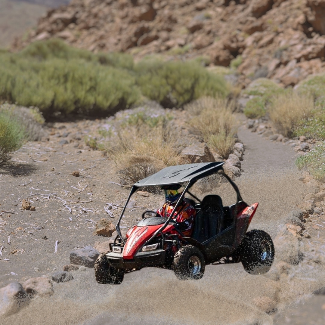 Go Kart For Sale Nixa Hardware & Seed Company