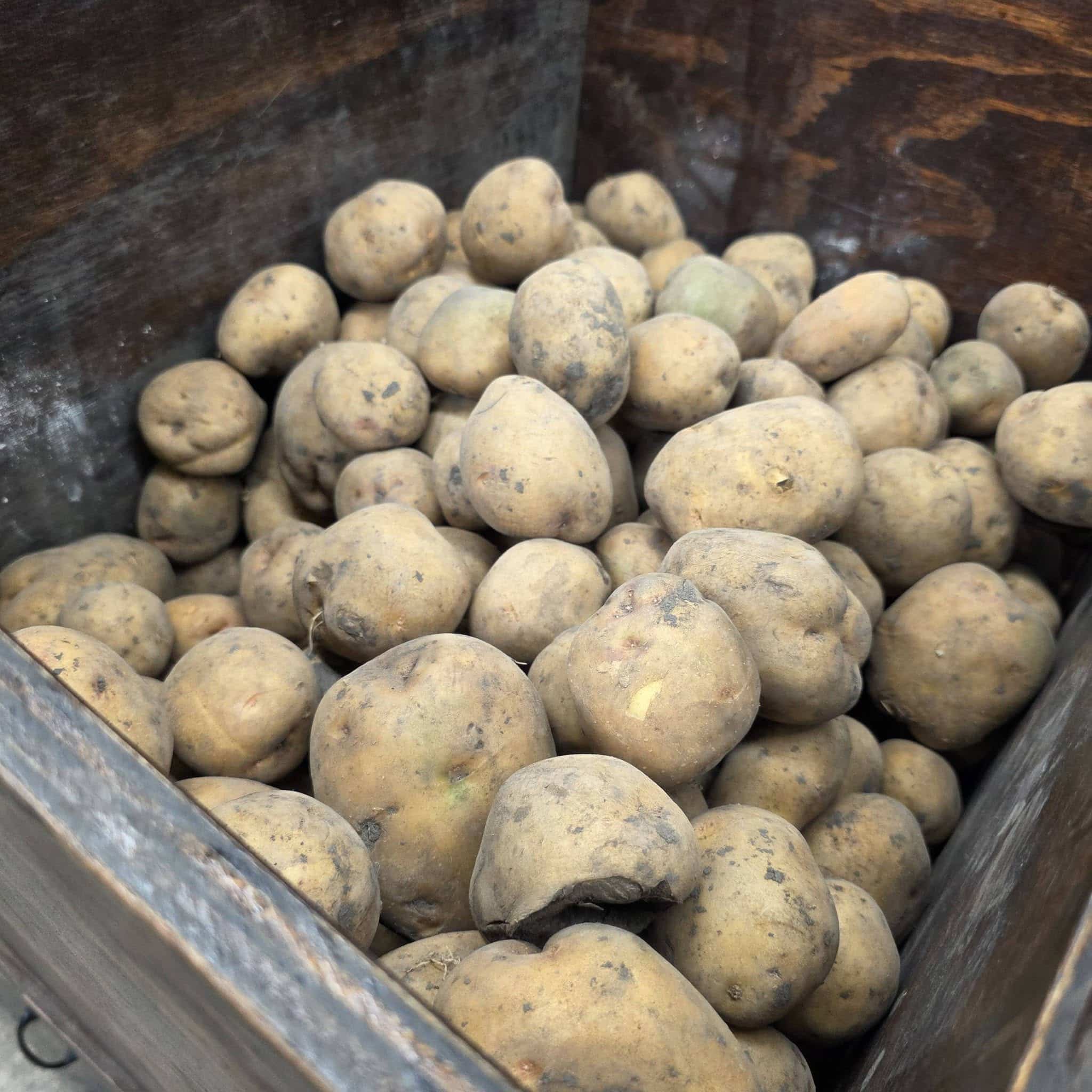 Spring planting supplies