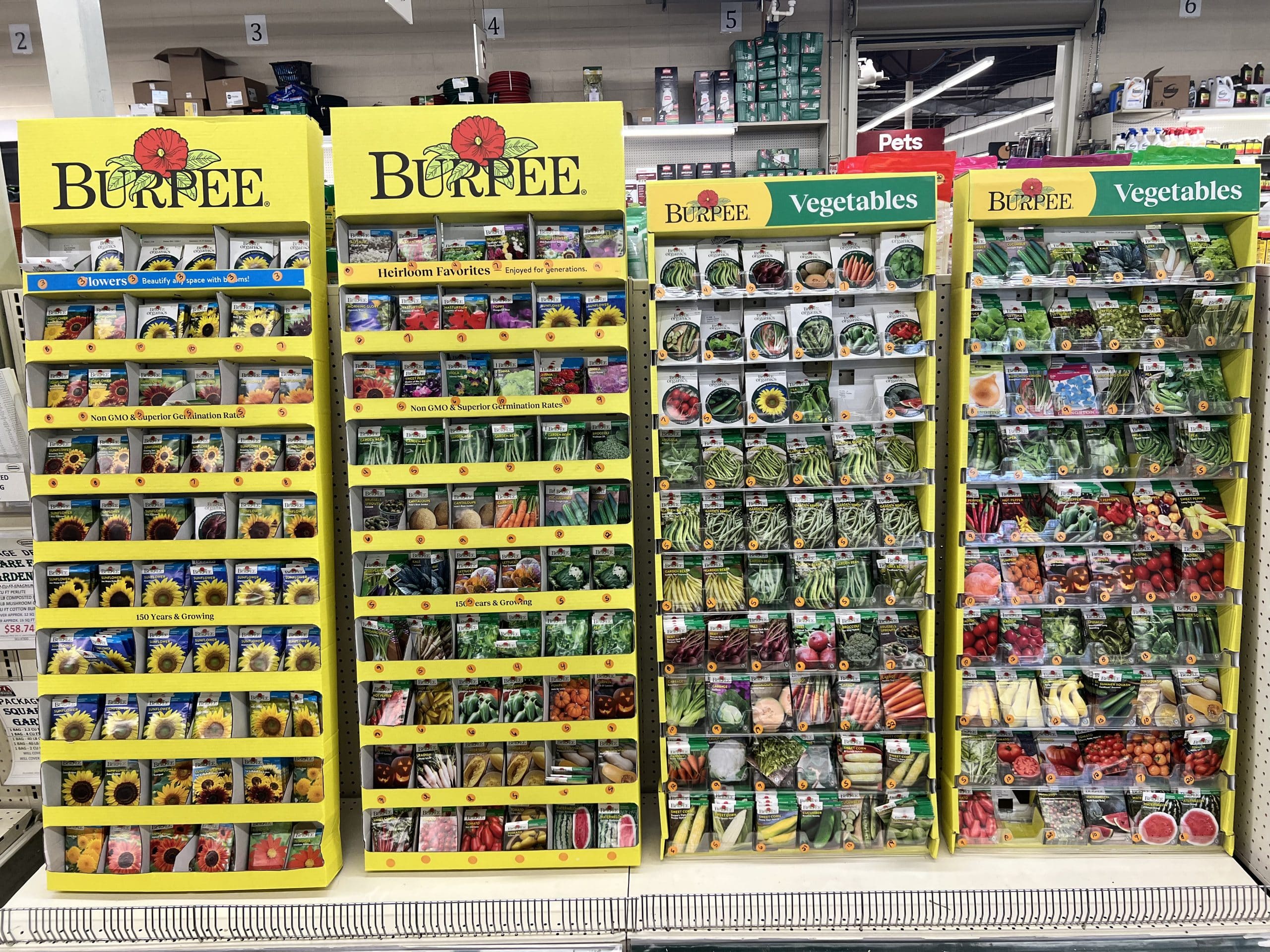 Spring planting display