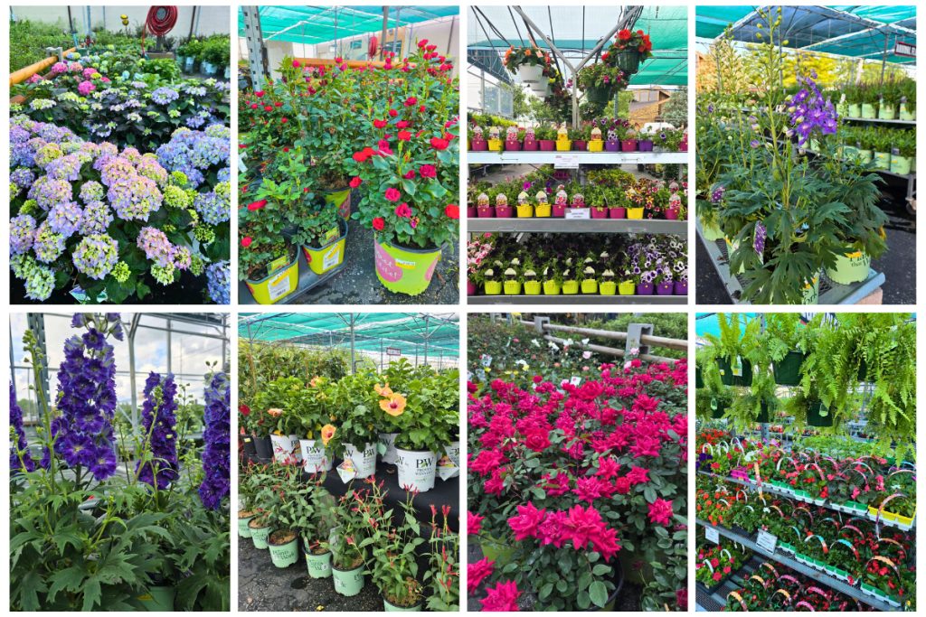 Flower Collage Nixa Hardware Nursery
