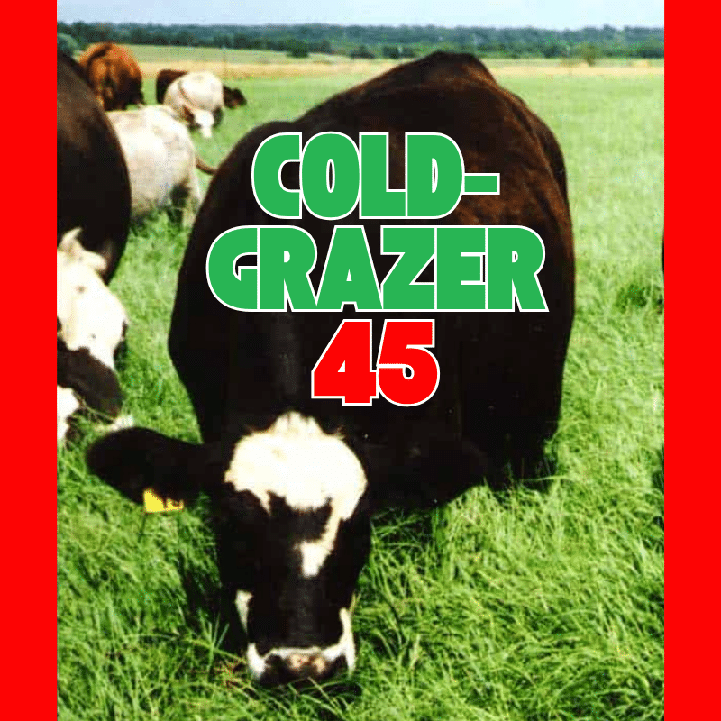 Cold-Grazer 45 Extended Grazing Seed 50# Cold-Grazer 45 Extended Grazing Seed 50#