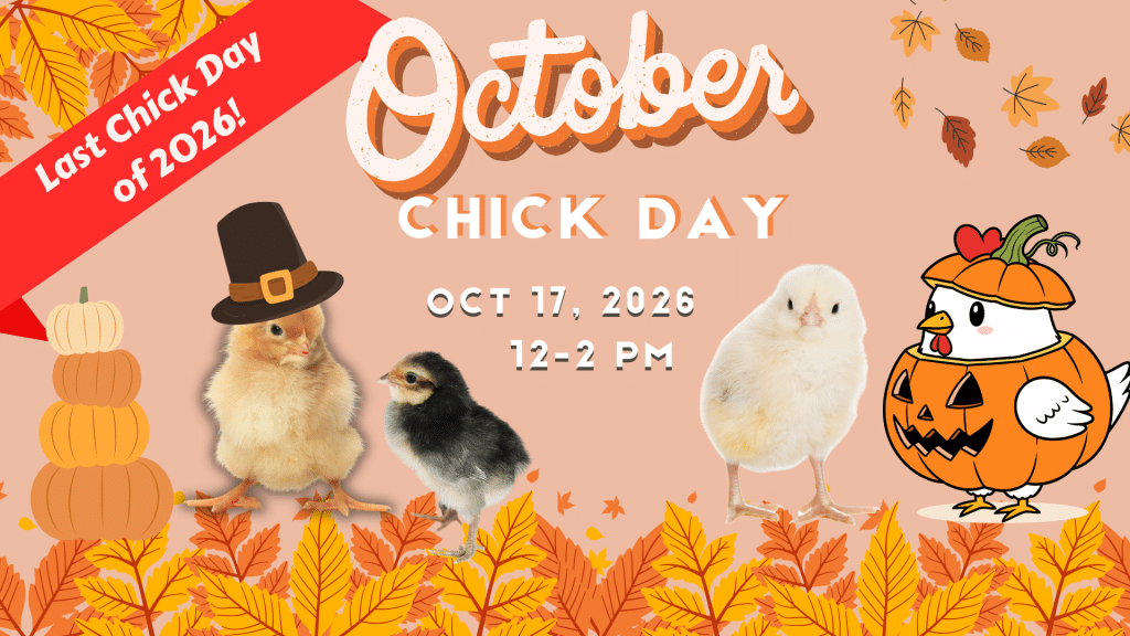 October Chick Day Nixa Hardware